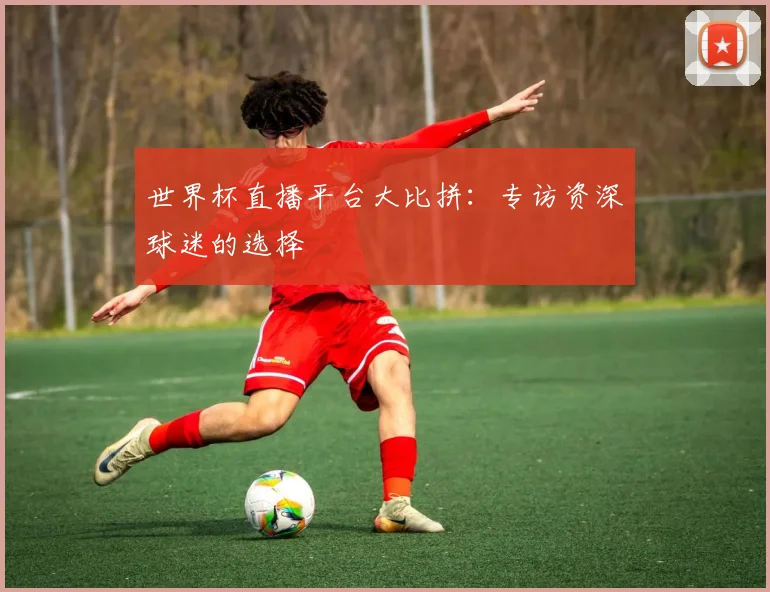 世界杯直播平台大比拼：专访资深球迷的选择
