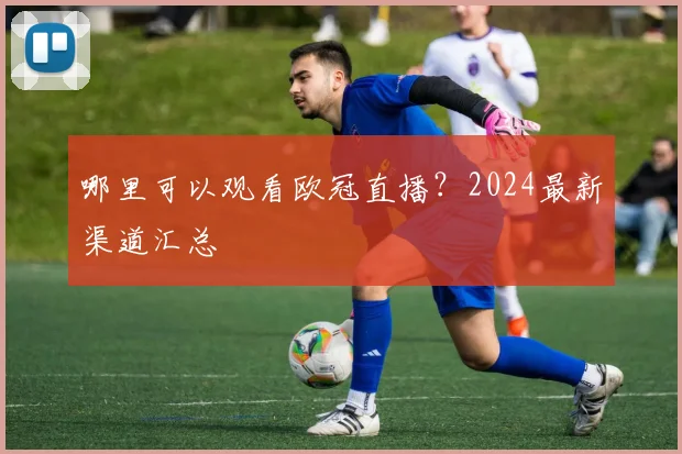 哪里可以观看欧冠直播？2024最新渠道汇总