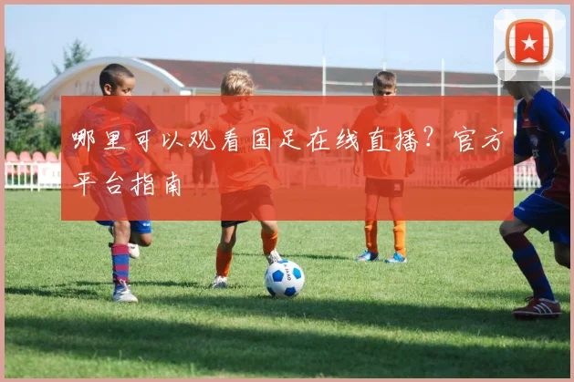 哪里可以观看国足在线直播？官方平台指南