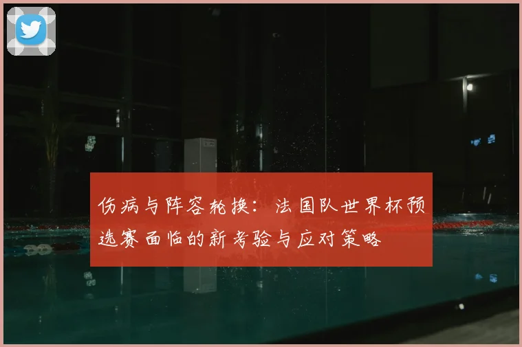 伤病与阵容轮换：法国队世界杯预选赛面临的新考验与应对策略