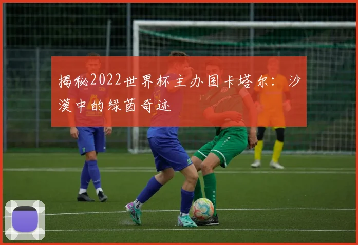 揭秘2022世界杯主办国卡塔尔：沙漠中的绿茵奇迹