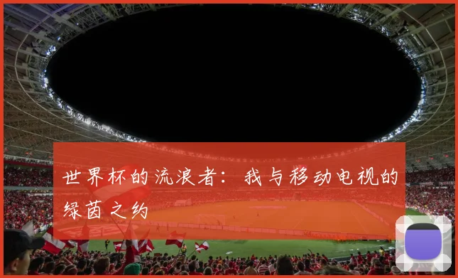 世界杯的流浪者：我与移动电视的绿茵之约