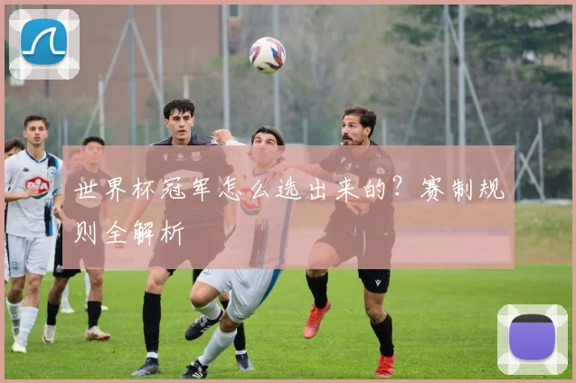 世界杯冠军怎么选出来的？赛制规则全解析