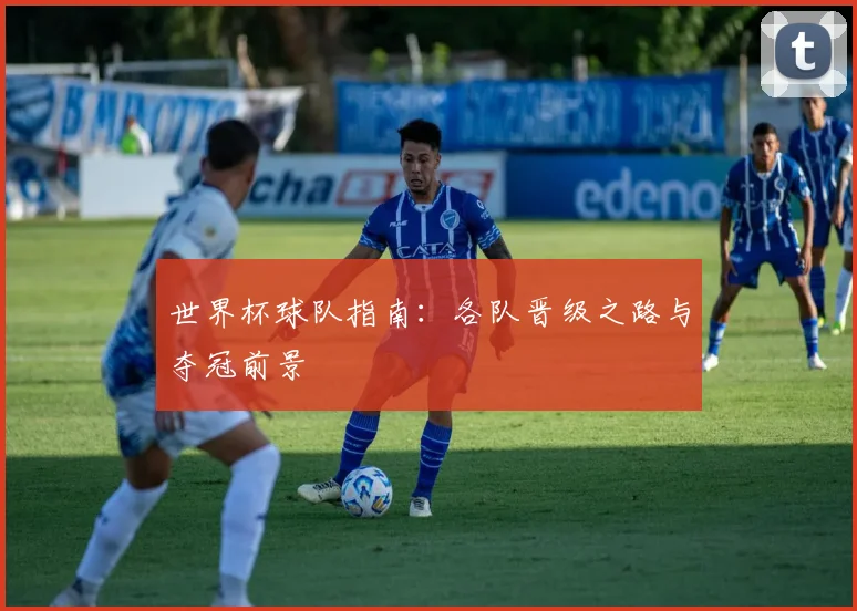 世界杯球队指南:各队晋级之路与夺冠前景