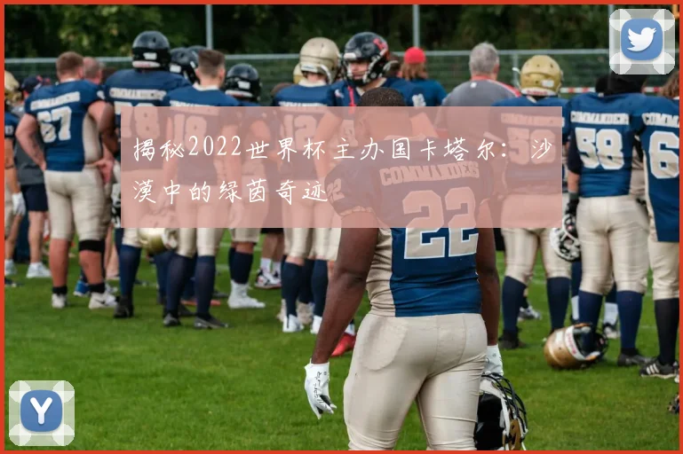揭秘2022世界杯主办国卡塔尔：沙漠中的绿茵奇迹