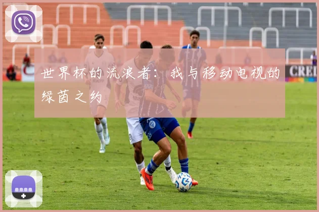 世界杯的流浪者:我与移动电视的绿茵之约